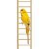 Ferplast Wooden Ladder 11 Step Bird Accessories 8010690028767