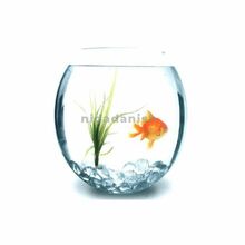 Aqua Glass Bowl 8.5 L Fish Accessories 5905546027465