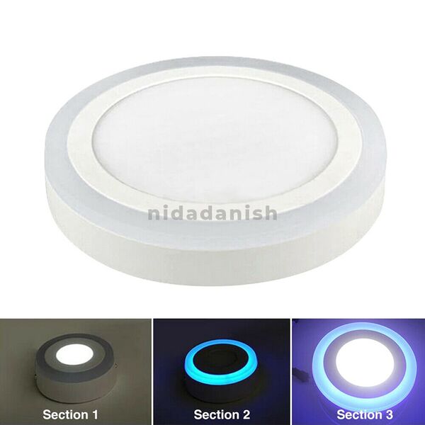 Rother Electrical LED Round Panel Double Color Light Cool White Blue 18-6W RLE18804B